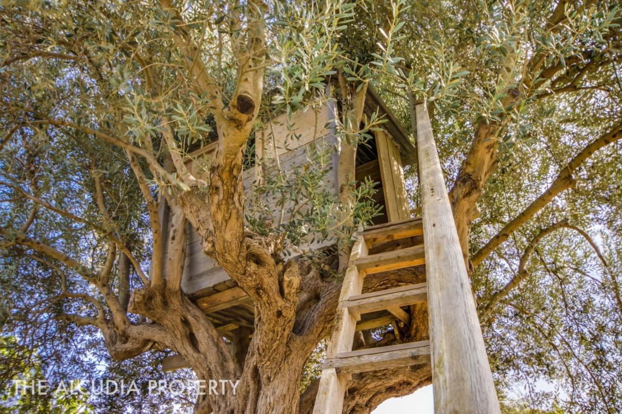 Finca Pegasus Alcudia  Exterior photo